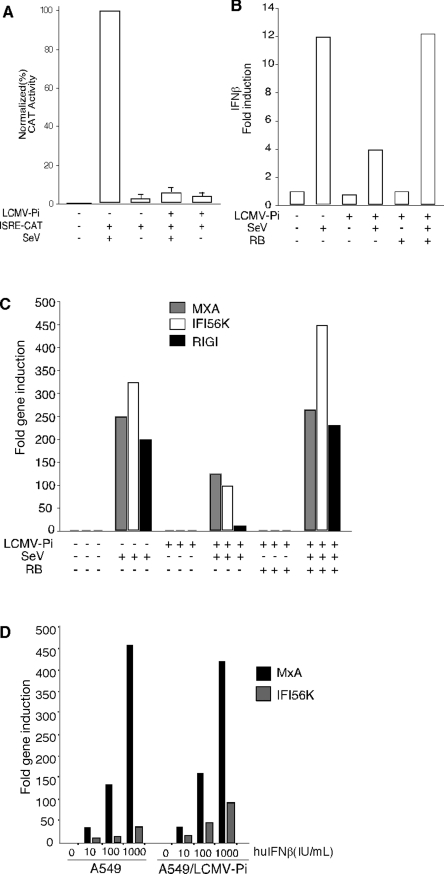 FIG. 2.