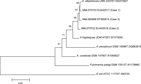 FIG. 1.