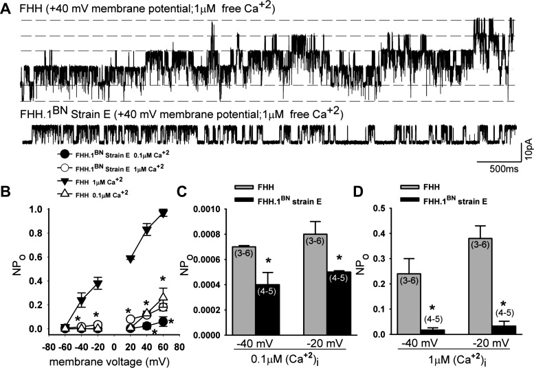 Fig. 10.