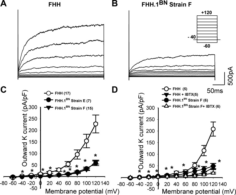 Fig. 9.