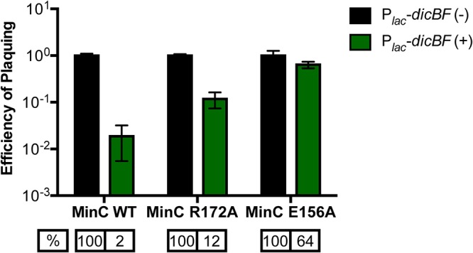 FIG 6