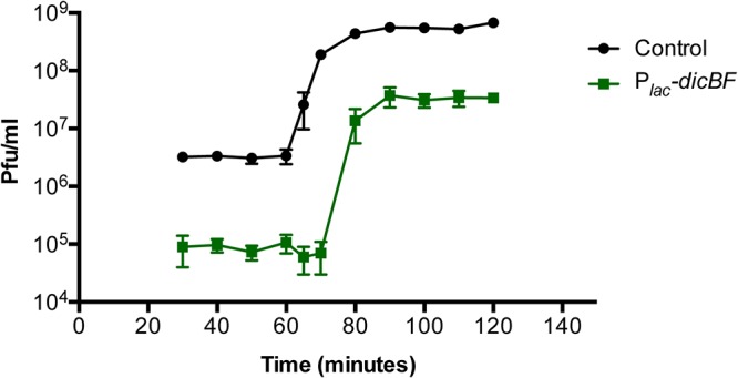 FIG 3