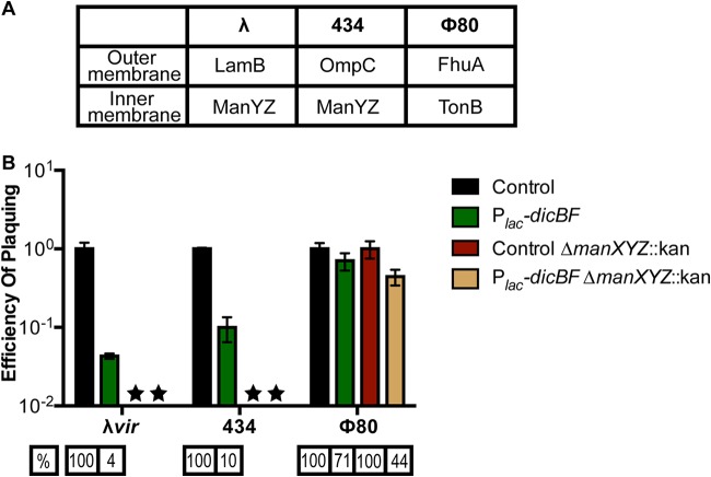 FIG 5