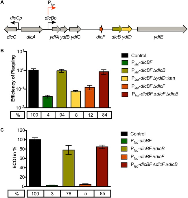 FIG 1