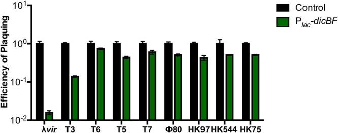 FIG 2