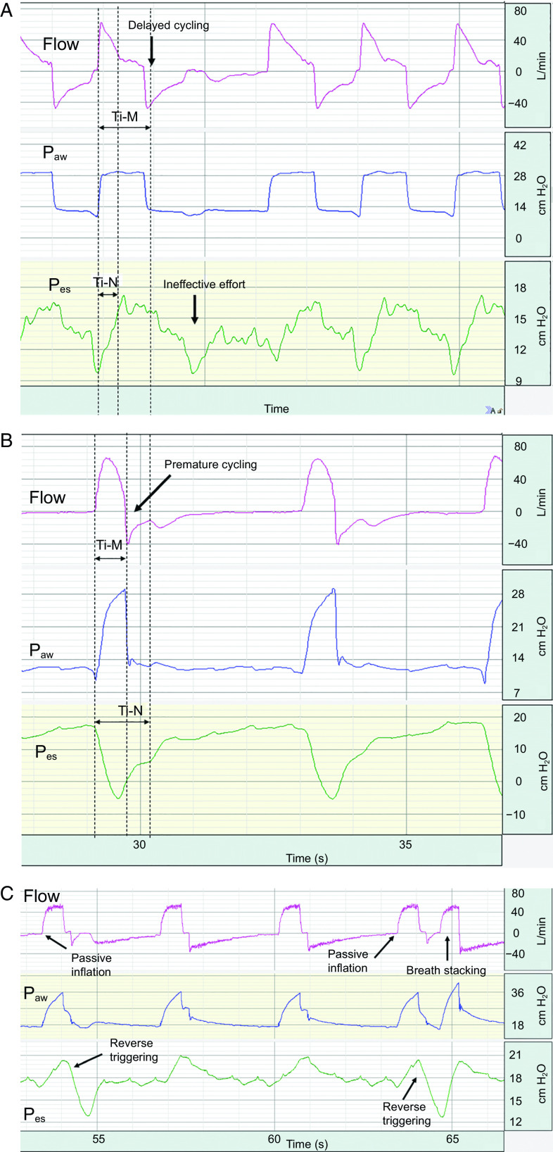 Fig. 6.