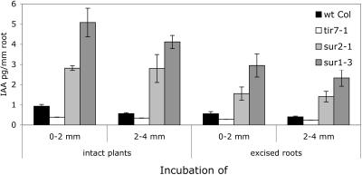 Figure 6.