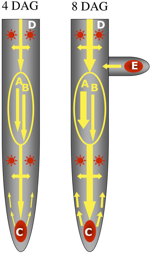 Figure 8.