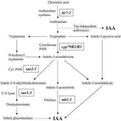 Figure 1.