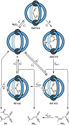 Scheme 3