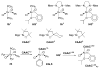 Scheme 27
