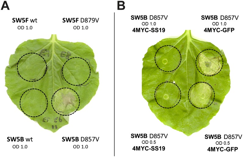 Figure 3.