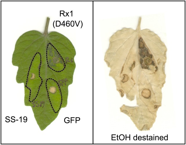 Figure 2.