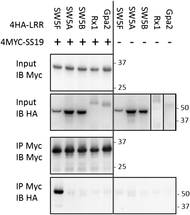 Figure 7.