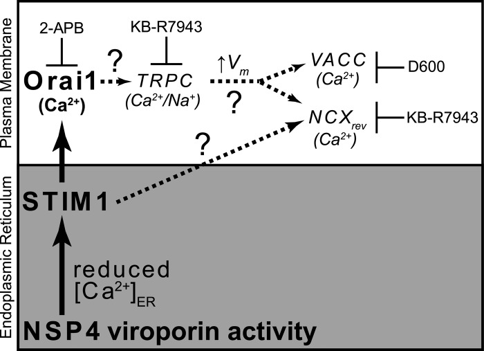 Fig 8