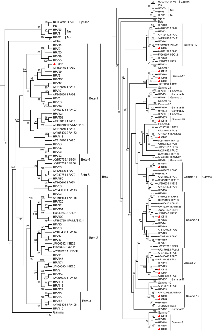 Fig. 2