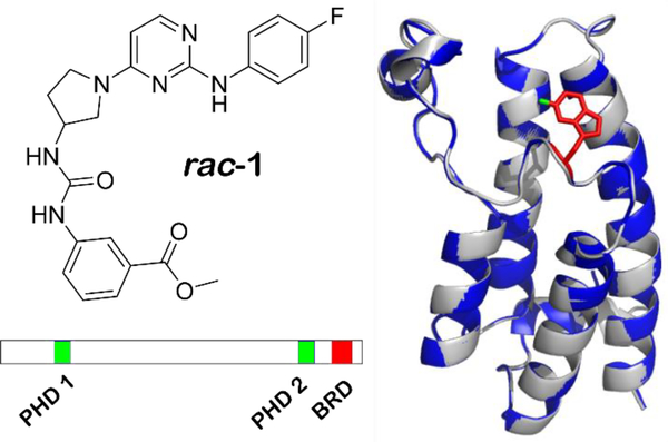 Figure 1: