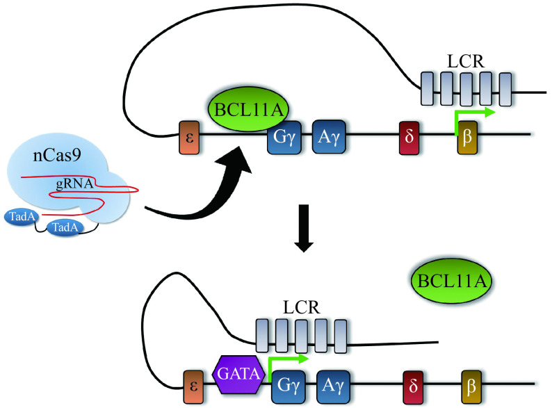 Figure 7