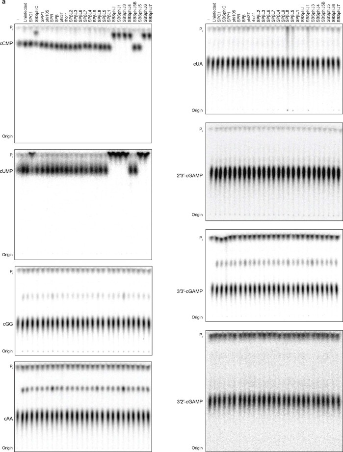 Extended Data Fig. 2