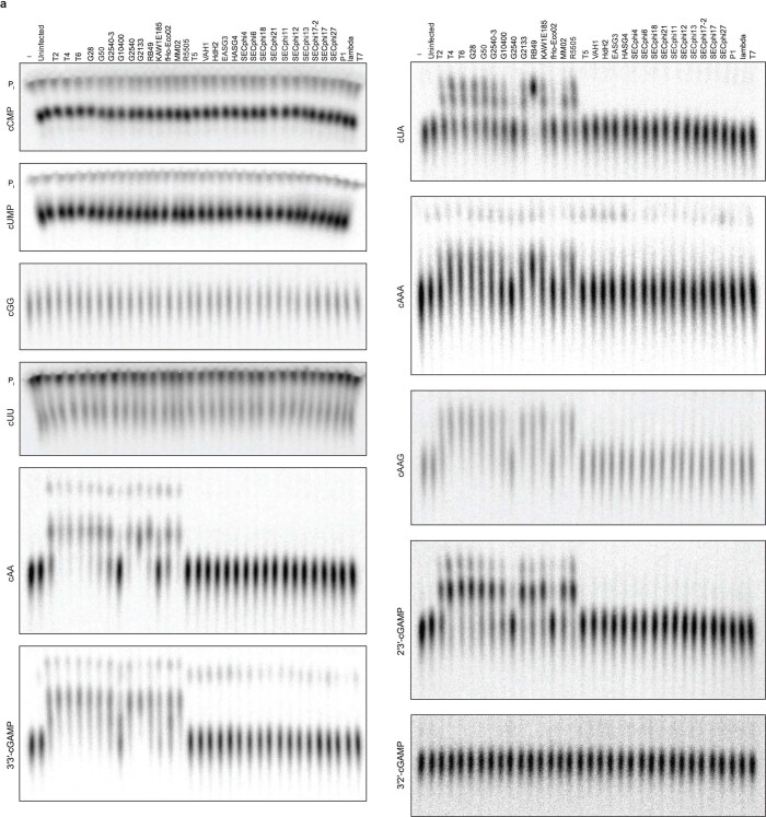 Extended Data Fig. 1