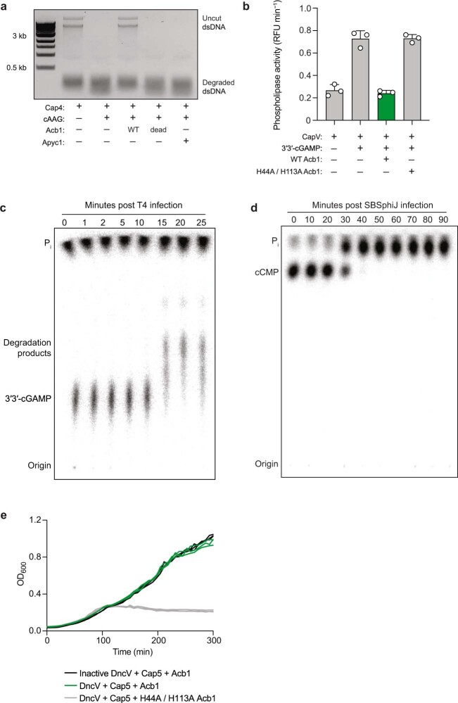 Extended Data Fig. 9