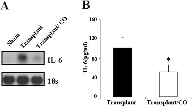 Figure 10.