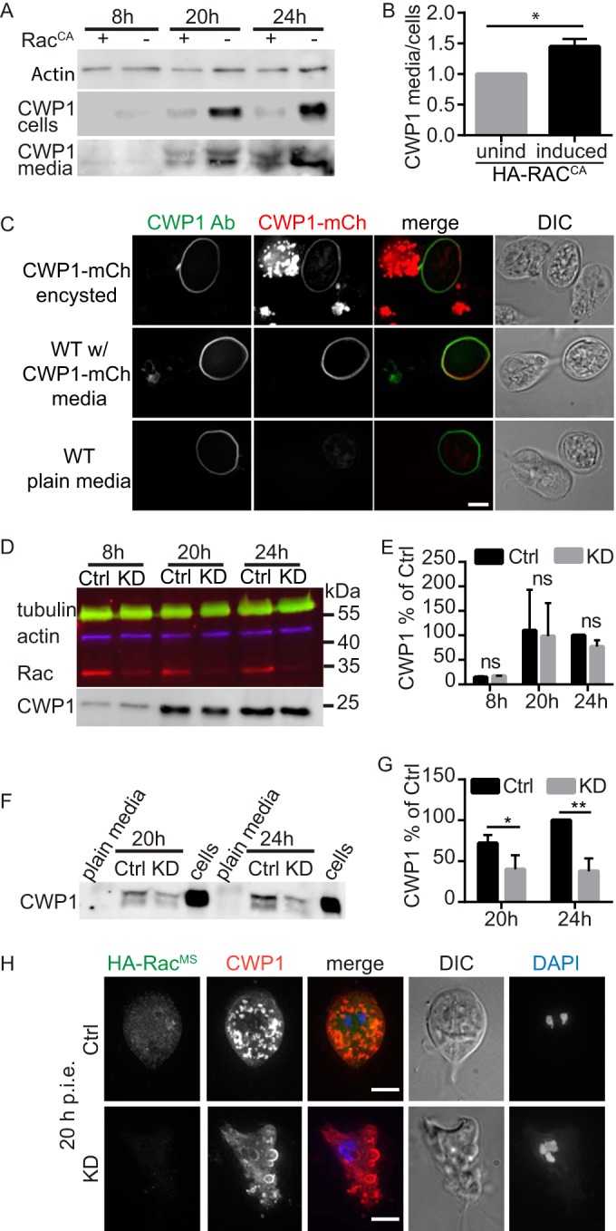 FIG 4 