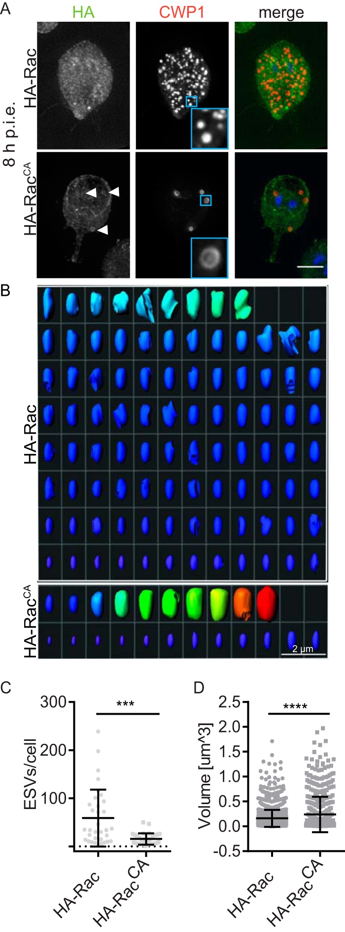 FIG 3 