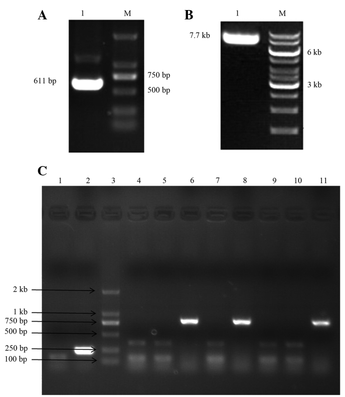 Figure 2.