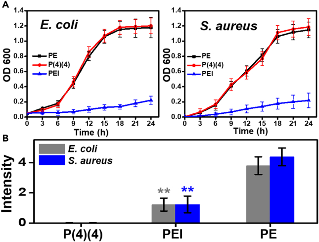 Figure 5