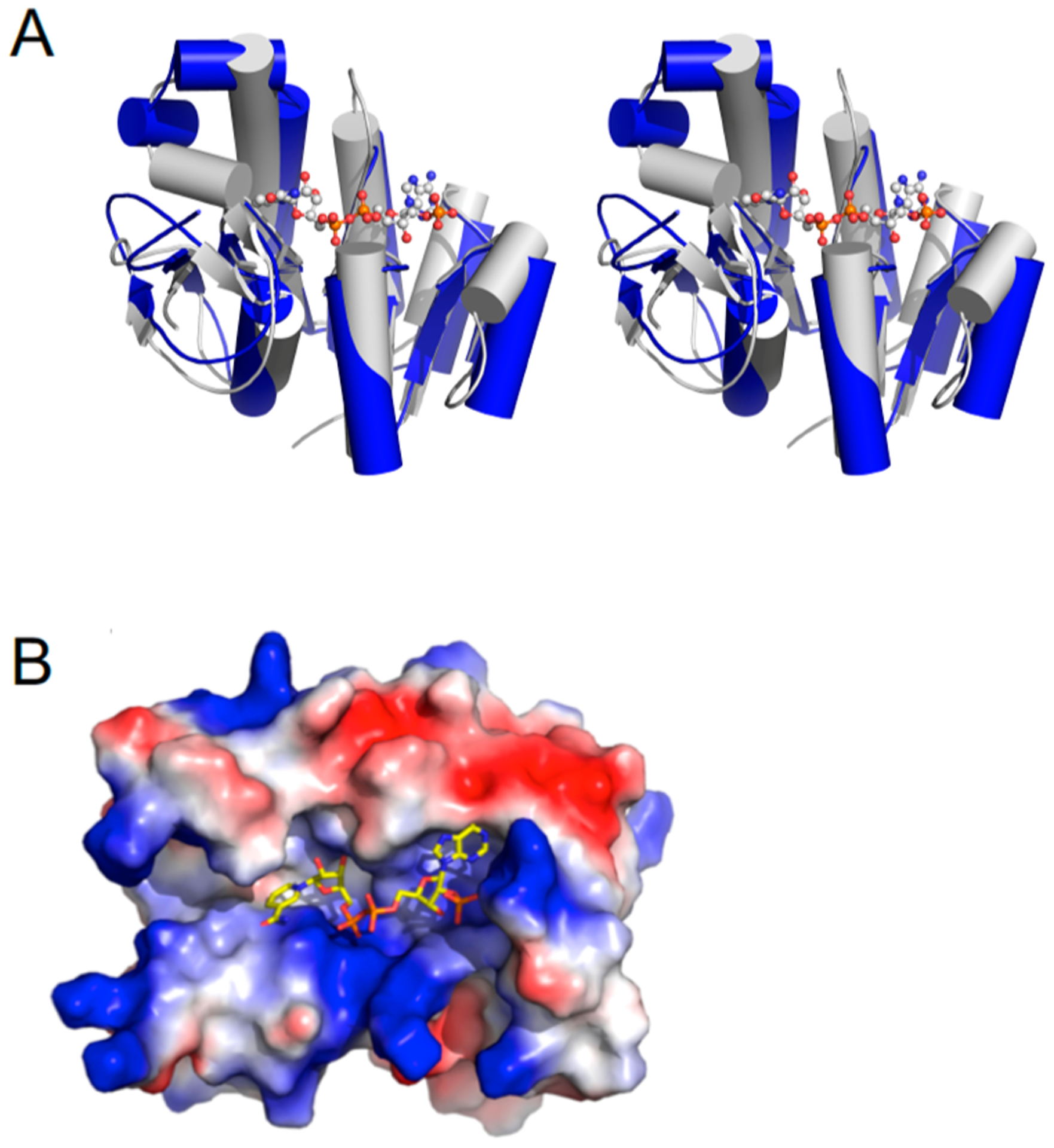 Figure 3.