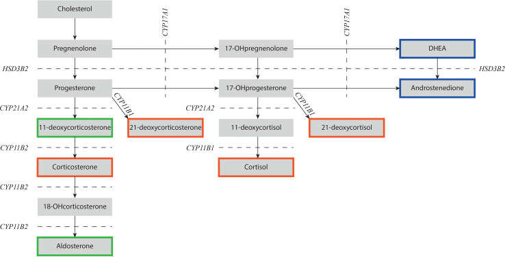 Figure 1