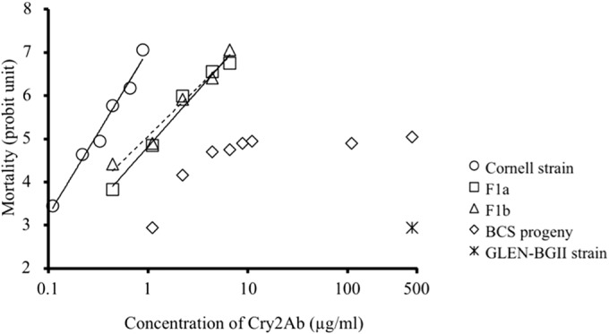 FIG 1