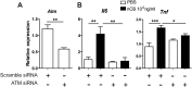 Figure 5—figure supplement 3.