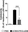 Figure 4—figure supplement 2.