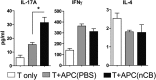 Figure 3—figure supplement 3.