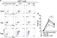 Figure 3—figure supplement 5.