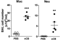 Figure 2—figure supplement 5.