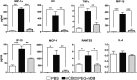 Figure 4—figure supplement 3.