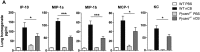 Figure 6—figure supplement 1.