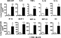 Figure 2—figure supplement 2.