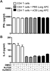 Figure 5—figure supplement 4.