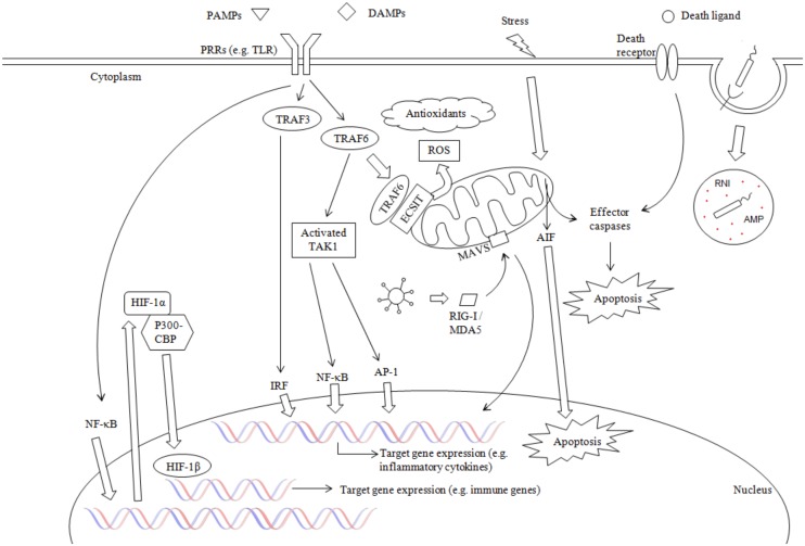 Fig 2