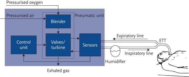 Figure 2