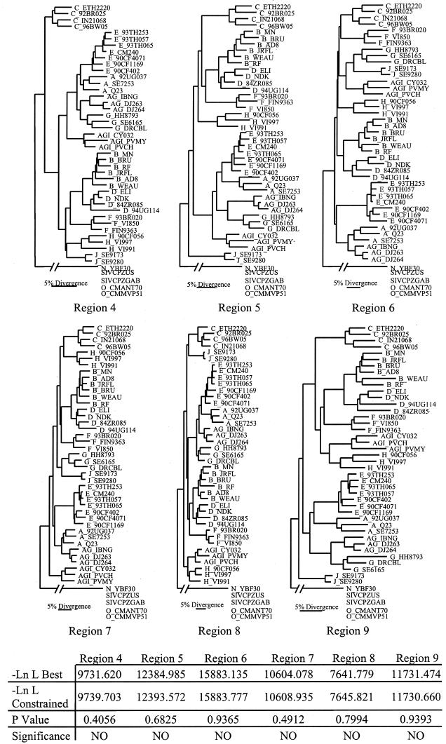 FIG. 6