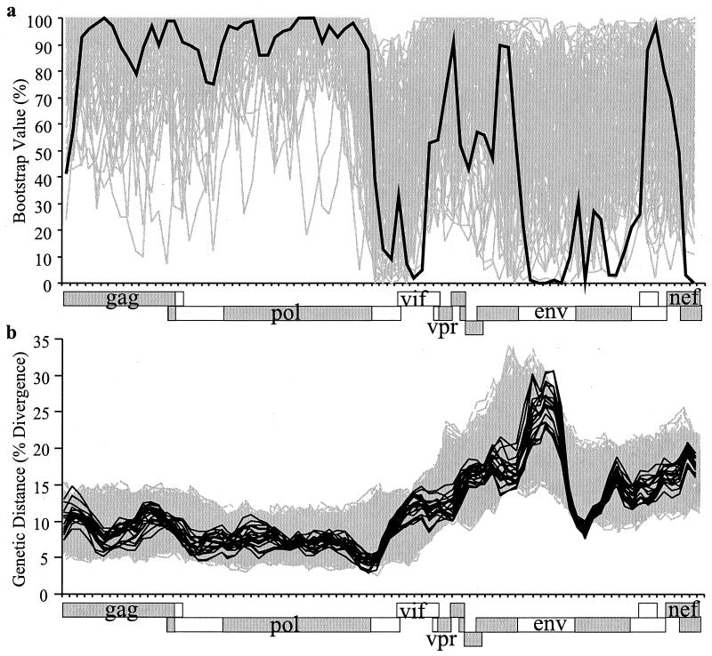 FIG. 7