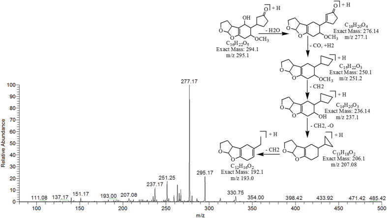 Figure 5