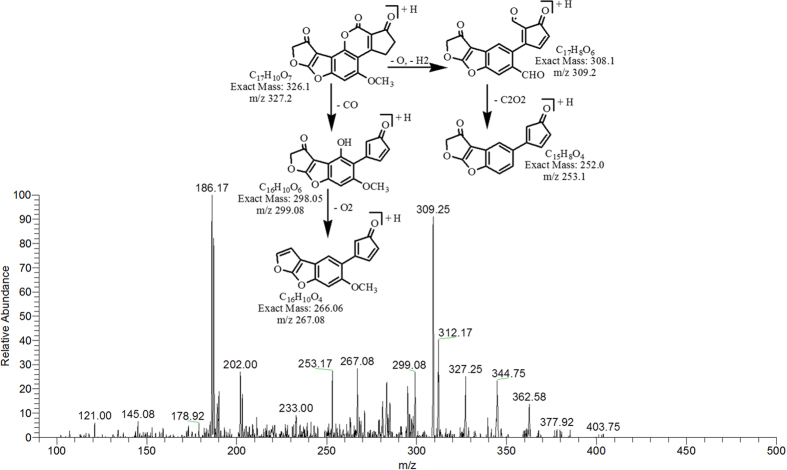 Figure 7