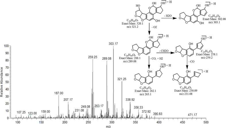 Figure 10