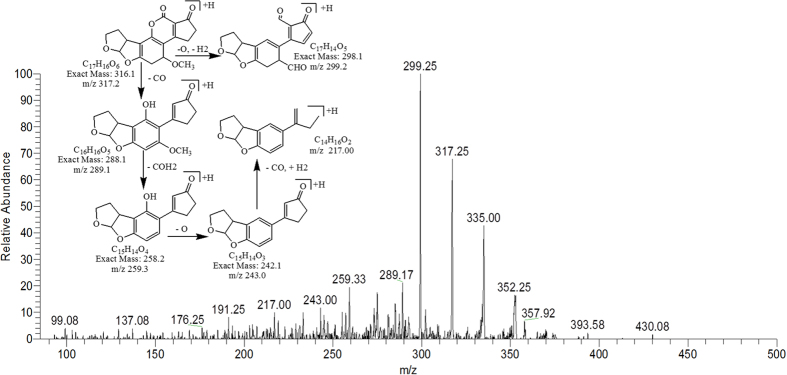 Figure 12